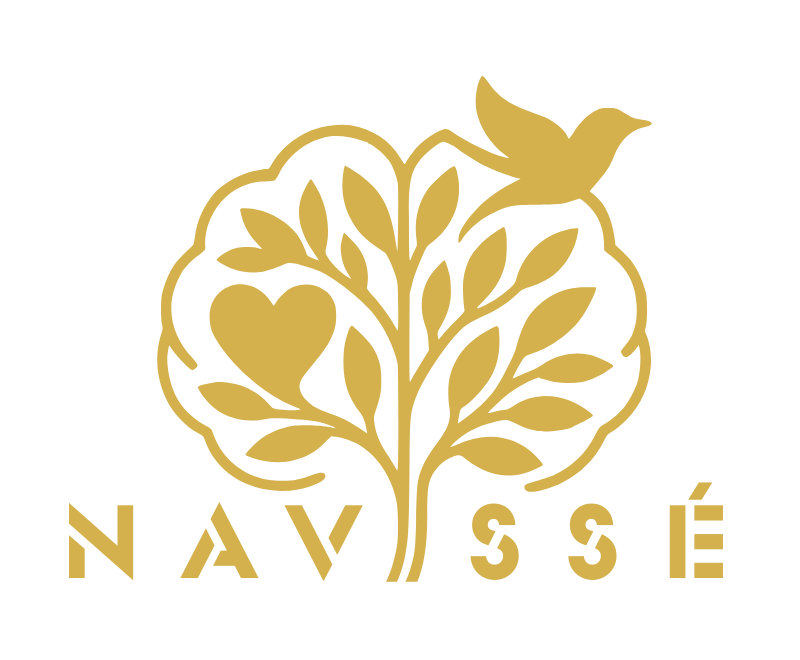 Navisse